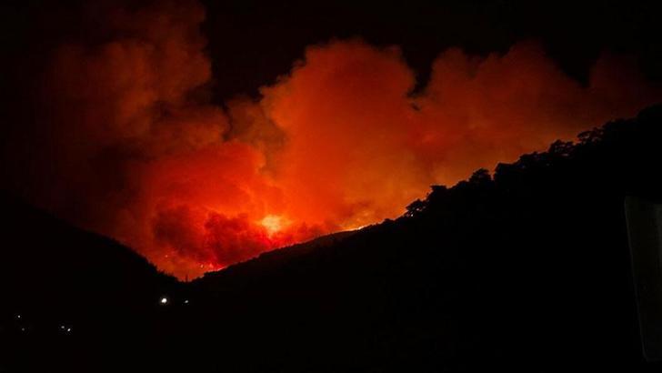 İzmir Ödemiş'te orman yangını