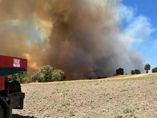 Kütahya’da orman yangını (3)