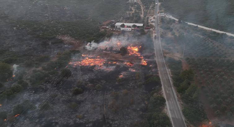 İzmir Çeşme’de orman yangını (8)