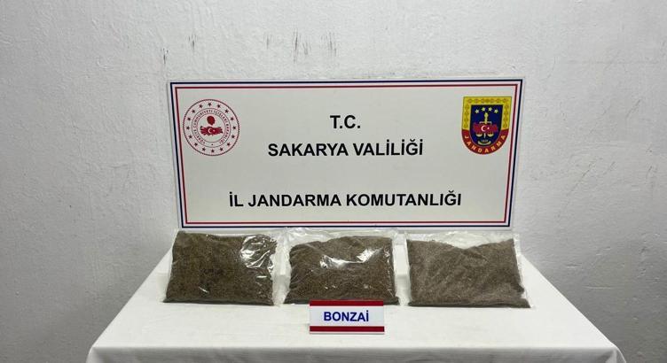 Sakarya'da 2,5 kilo bonzai ele geçirildi