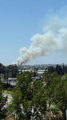 Antalya'da orman yangını