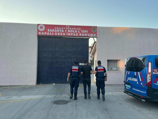 Jandarmadan kenevir operasyonu; 1 tutuklama