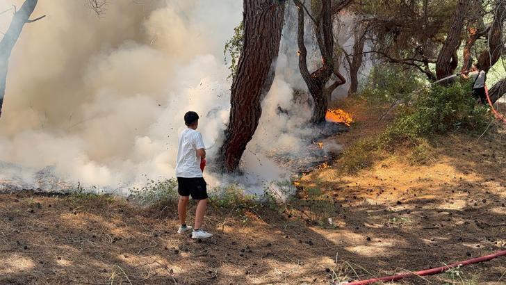Antalya'da orman yangını / Ek fotoğraflar
