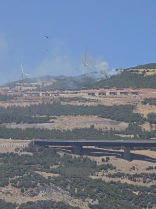 Gaziantep'in çalılıkta çıkan yangın söndürüldü