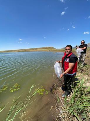 Çamardı’da göletlere yavru sazan bırakıldı