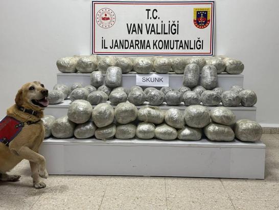 Van’da 97 kilo skunk ele geçirildi