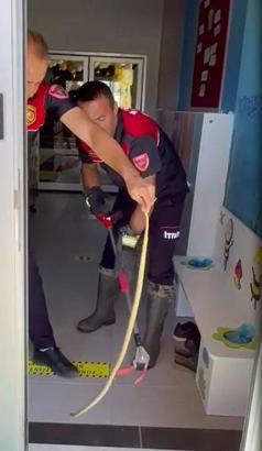 Ayakkabılıktaki yılanı itfaiye doğaya bıraktı