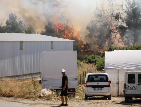 Antalya'da çalılıkta çıkıp ormana sıçrayan yangın kontrol altında (2)