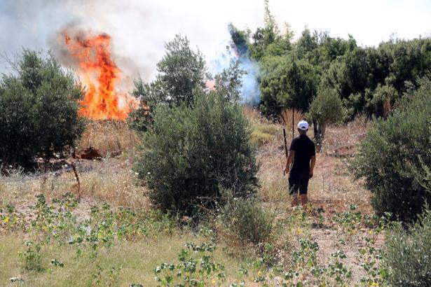 Antalya'da çalılıkta çıkıp ormana sıçrayan yangın kontrol altında / Ek fotoğraflar
