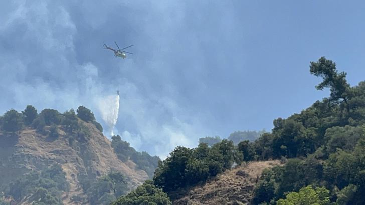 Aydın'da tarım arazisinde yangın (2)