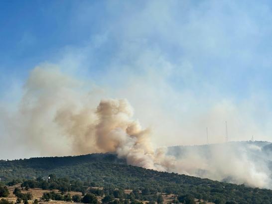 Uşak’ta meşelik yangını