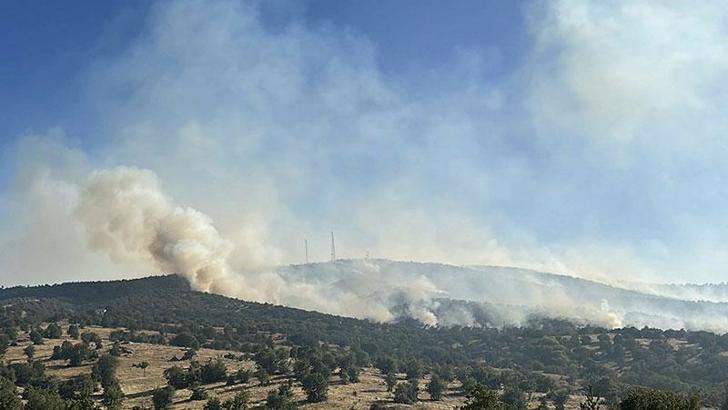 Uşak’ta meşelik yangını kontrol altında