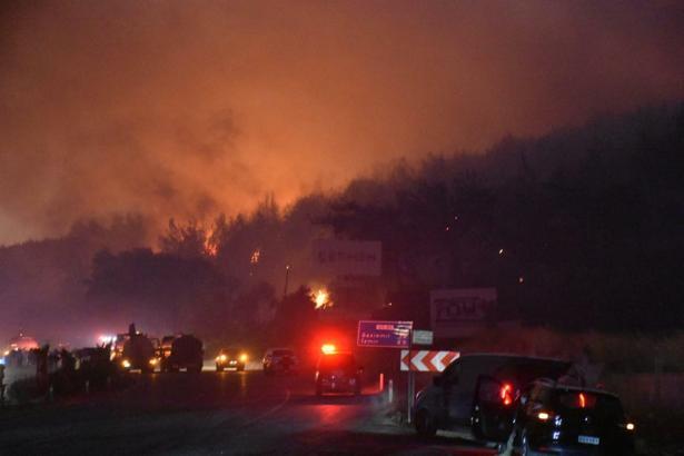 İzmir Buca'da orman yangını (3)