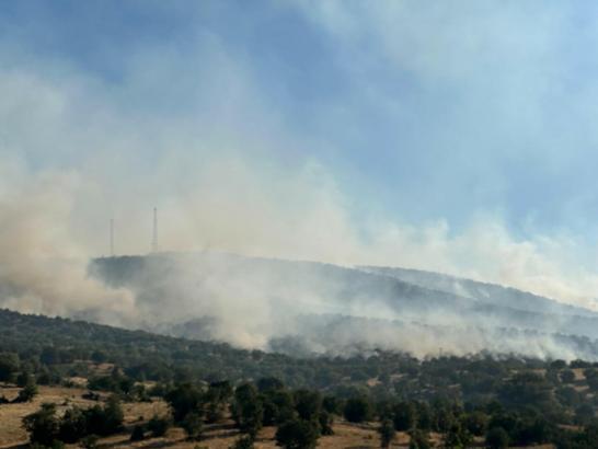 Uşak’ta meşelik yangını (2)