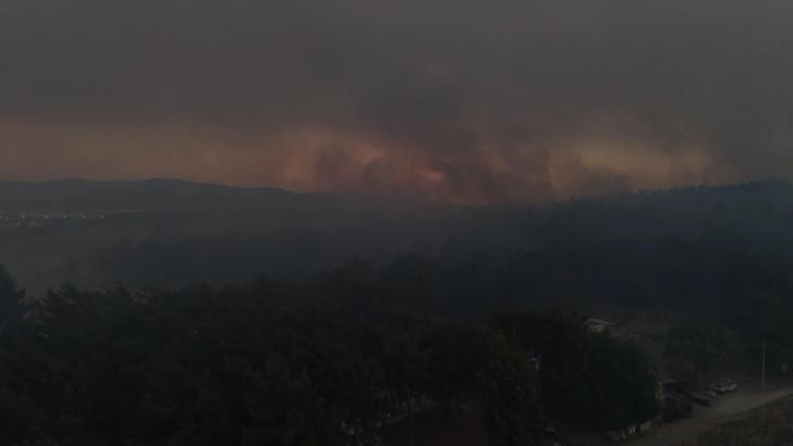 İzmir Buca'da orman yangını (5)