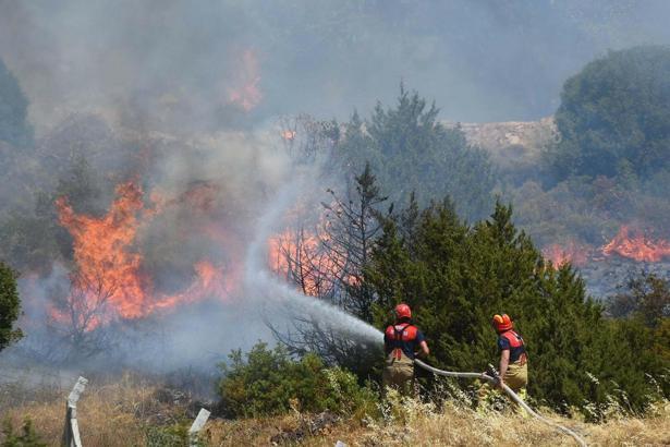'İzmir'in geçen yıl kuzeyi, bu yıl batısı yangına teslim oldu'
