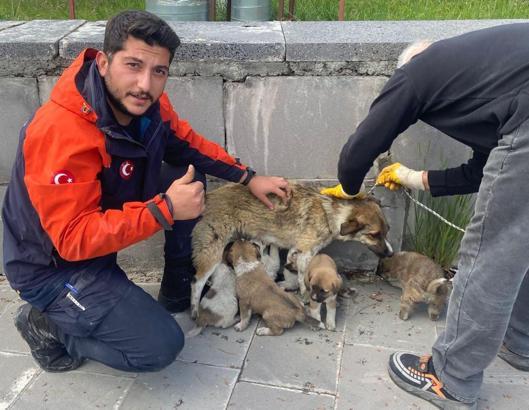Havalandırma boşluğunda mahsur kalan yavru köpekleri AFAD ekibi kurtardı
