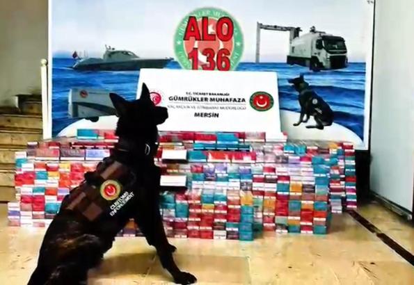 Mersin Limanı'nda kaçakçılık operasyonu /Video eklendi