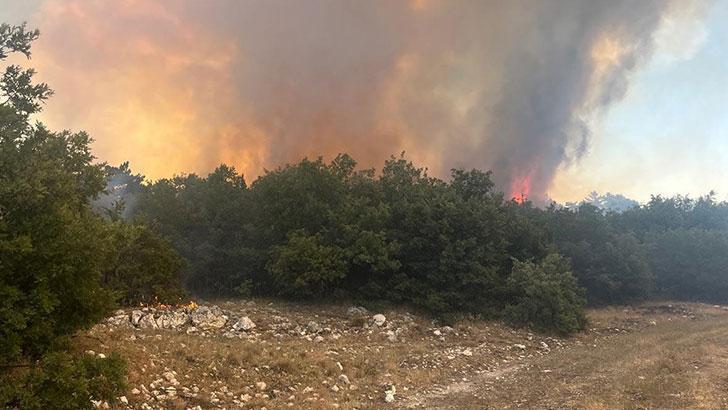 Eskişehir'de orman yangını kontrol altında