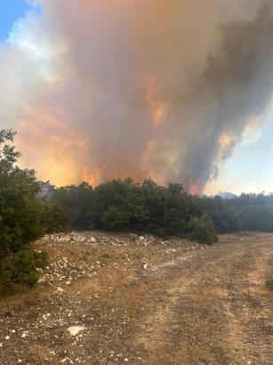 Eskişehir'de orman yangını