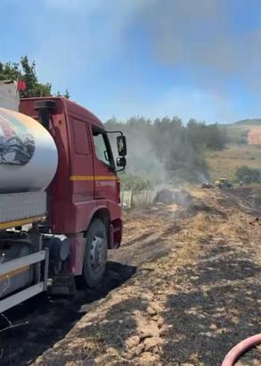 Bursa'da anız yangını ormana sıçradı (2)