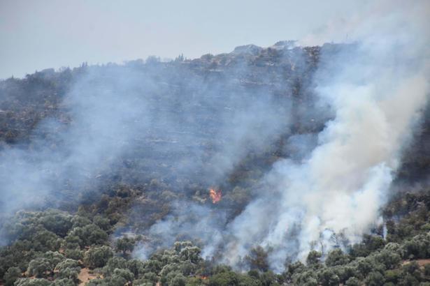 Ödemiş'teki orman yangını 3'üncü gününde (4)