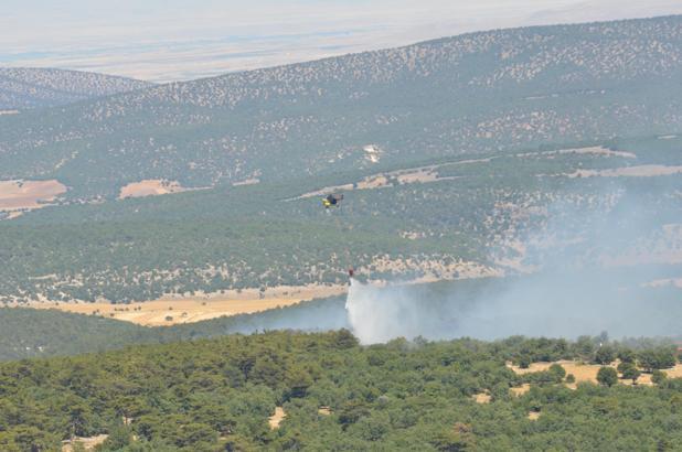 Eskişehir'de orman yangını (2)