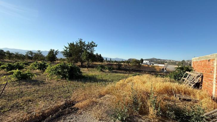 10 dönüm otluk alan ile 2 üzüm asma bağı yandı