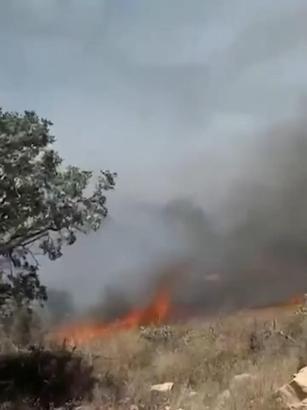 Gabar Dağı’nda orman yangını