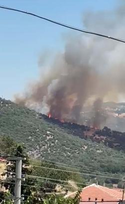 Balıkesir'de orman yangını