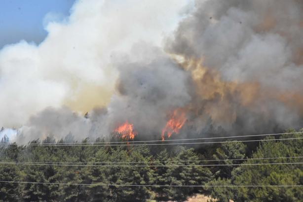 İzmir Buca'daki orman yangını 2'nci gününde; ekipler alevlerin arasında kaldı (2)
