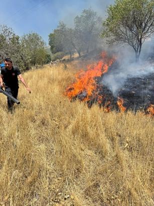 Mardin'de örtü yangını, 3 saatte kontrol altına alındı