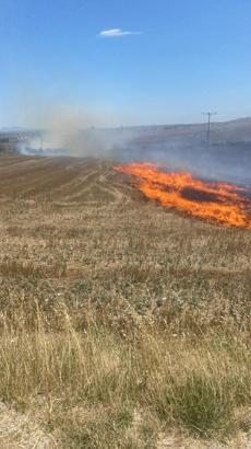 Anız yangını ormana sıçramadan söndürüldü