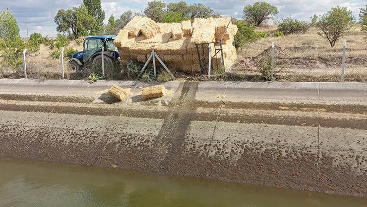 Traktörün römorkundaki işçiler sulama kanalına düştü: 1 ölü