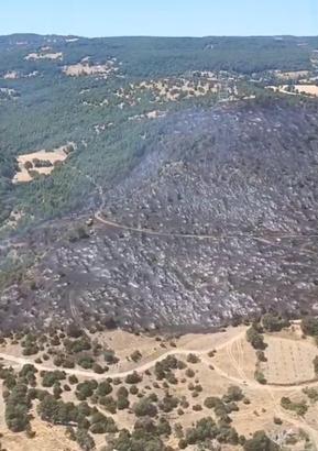 Balıkesir'de orman yangını kontrol altına alındı (2) / Video eklendi
