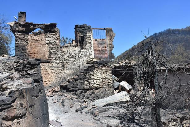 Ödemiş'teki orman yangını 3'üncü gününde (5)