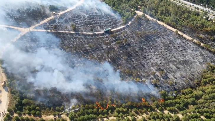 Kocaeli’de ağaçlık bölgede yangın (2)