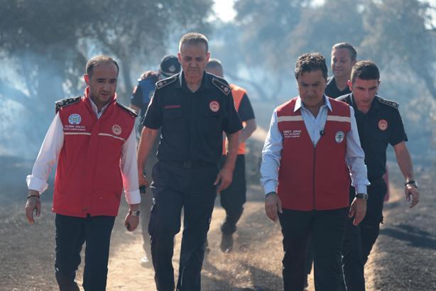 Milas’ta zeytinlik yangını (2)