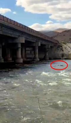 İddia üzerine köprüden Kızılırmak’a atlayan genç kayboldu