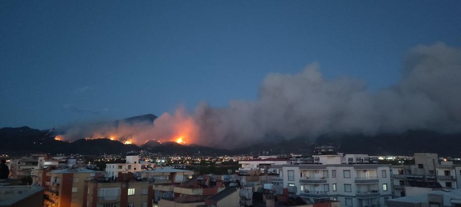 Hatay'da orman yangını (3)