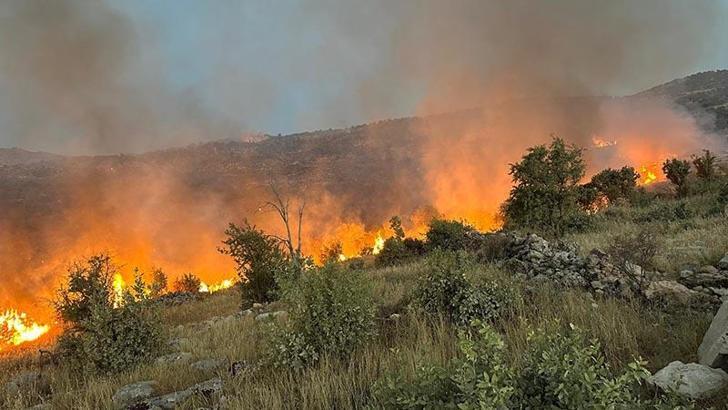 Gabar Dağı'ndaki orman yangını 11 saatte kontrol altında
