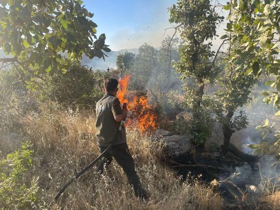 Gabar Dağı'ndaki orman yangını 11 saatte kontrol altında