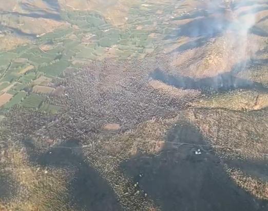 Milas'taki zeytinlik yangını 12 saatte kontrol altına alındı