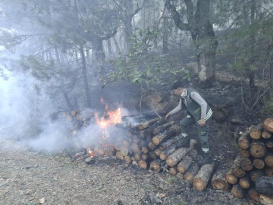 Motorlu testerenin egzozundan sıçrayan kıvılcım ormanı yakmış: 1 tutuklama