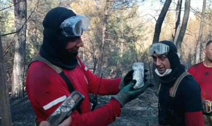 İzmir'de orman yangınında can çekişirken bulunan balığı itfaiye kurtardı