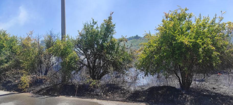 Yangında 30 nar ağacı zarar gördü