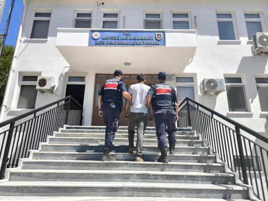 Çanakkale'de orman yangını (2)