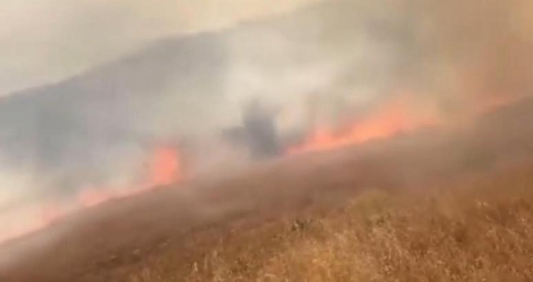 Lice’de örtü yangını