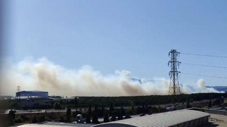 İstanbul- Tuzla'da otluk alanda çıkan yangın söndürüldü