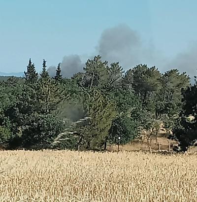 Edirne'de çıkan orman yangını söndürüldü